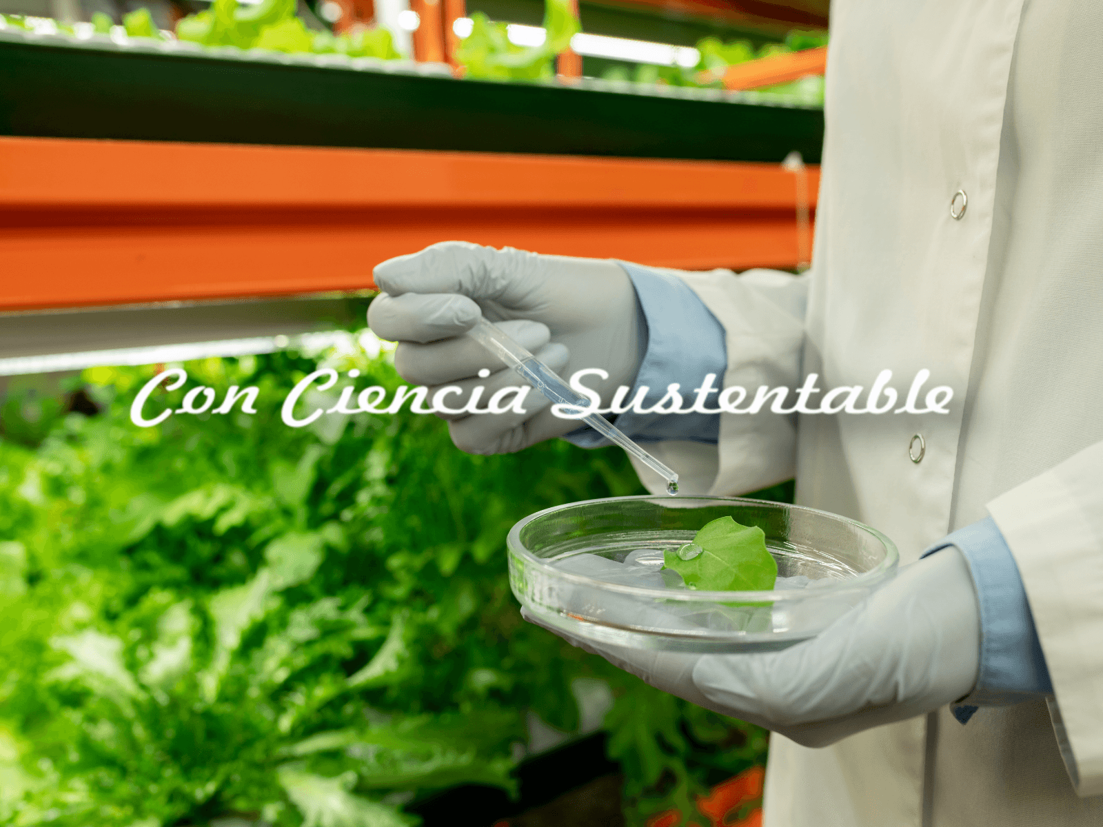 Ciencia y Sustentabilidad